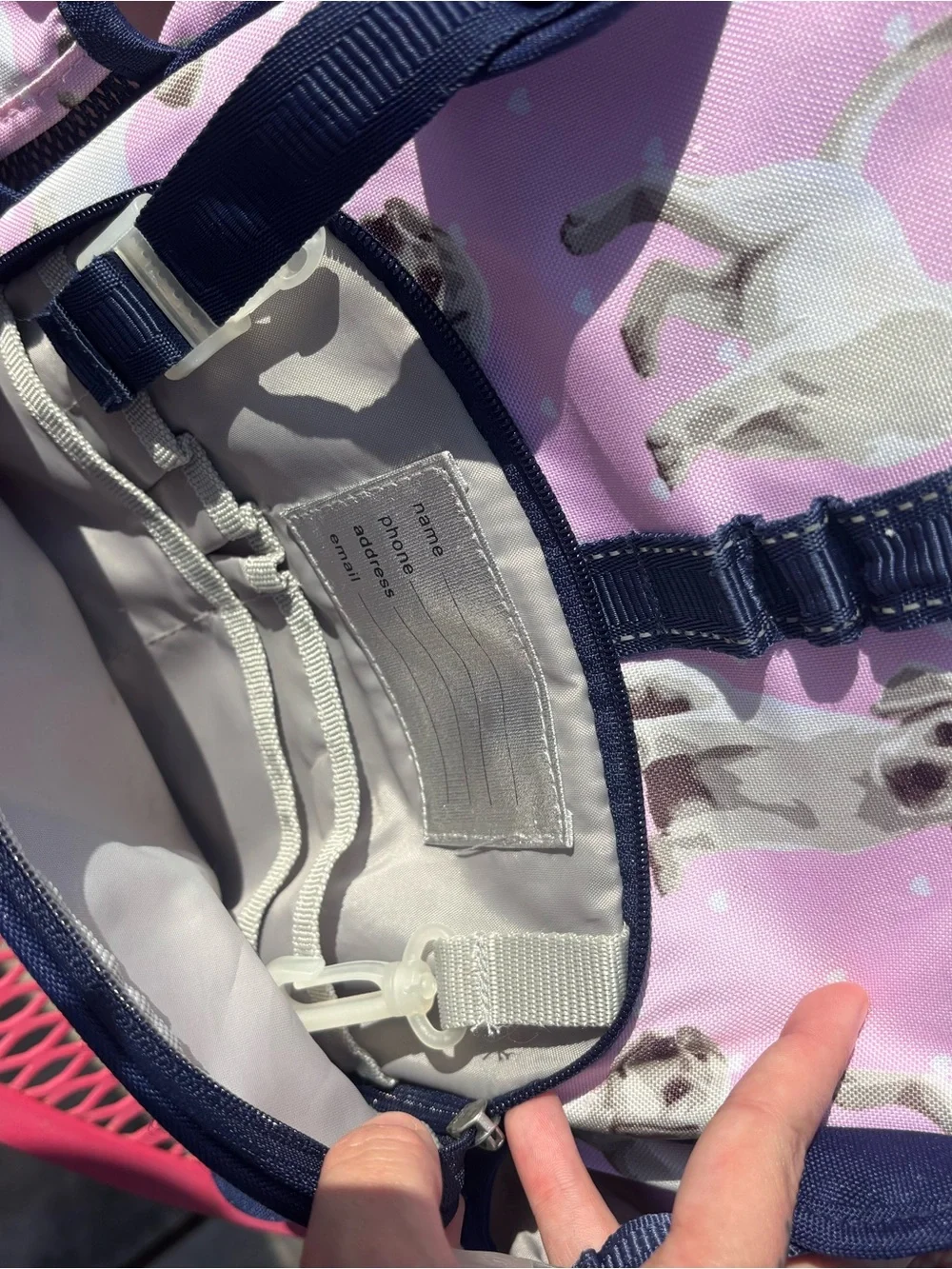 Pottery Barn Kids pink backpack